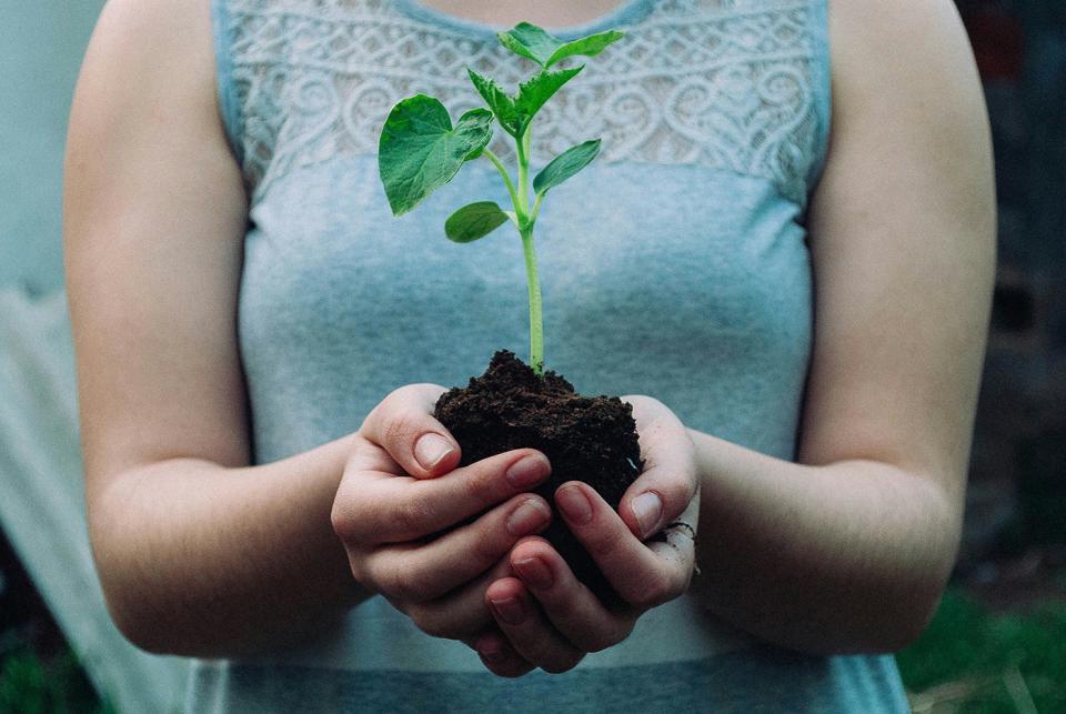 Torso of a woman in a light blue sleeveless top holding a seedling growing in a handful of soil