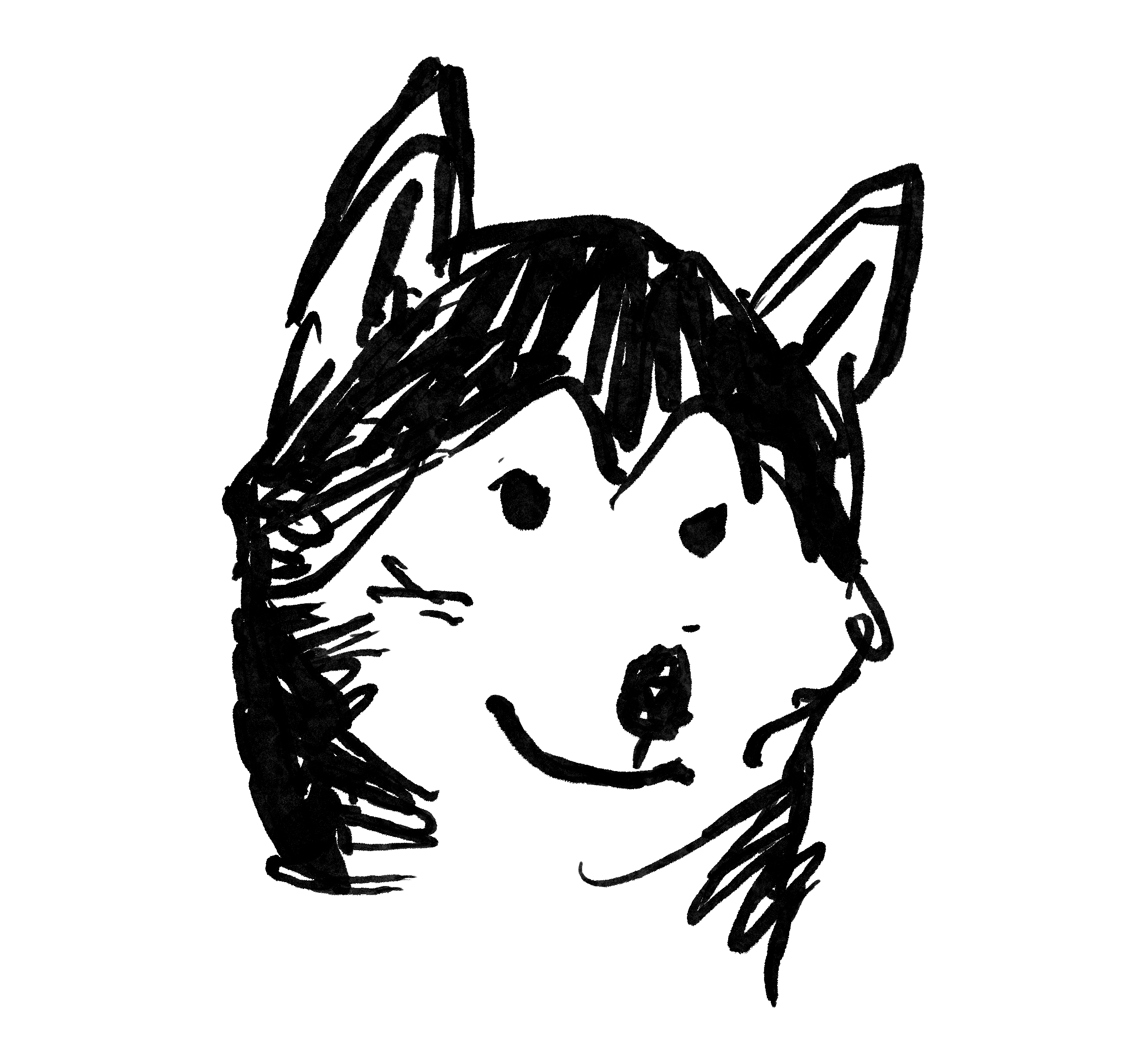 Hand drawn black and white sketch of a huskie dog
