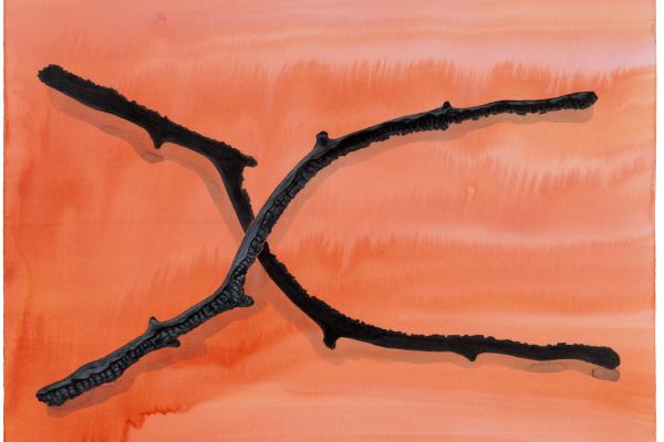 Drawing of burnt sticks crossed in an X shape resembling the chromosome symbol on an orange wash background