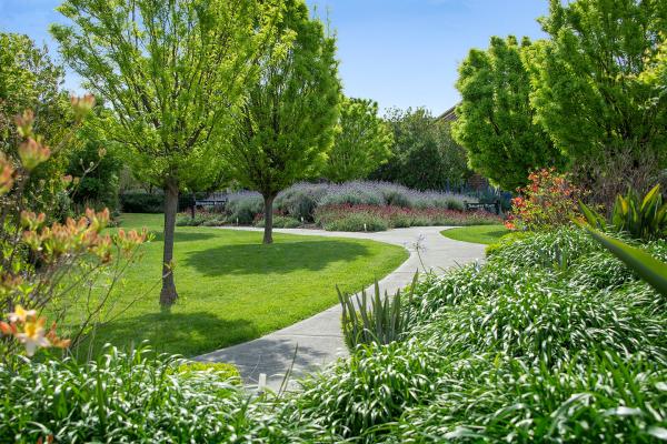 Lush green garden with small shrubs, large trees and a concrete path winding through the middle