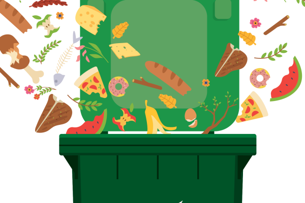 Image of green lid FOGO bin with food and garden waste 