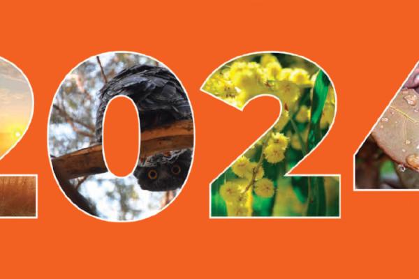 large text displaying the year 2024 over orange background