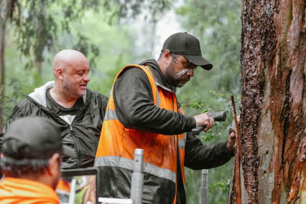 A First Nations man wearing an orange safety vest demonstrates the practice of tree scaring while another First Nations man looks on. They are in a bush setting and it is raining.