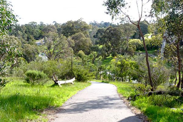 Green Gully Linear Park Templestowe bike path