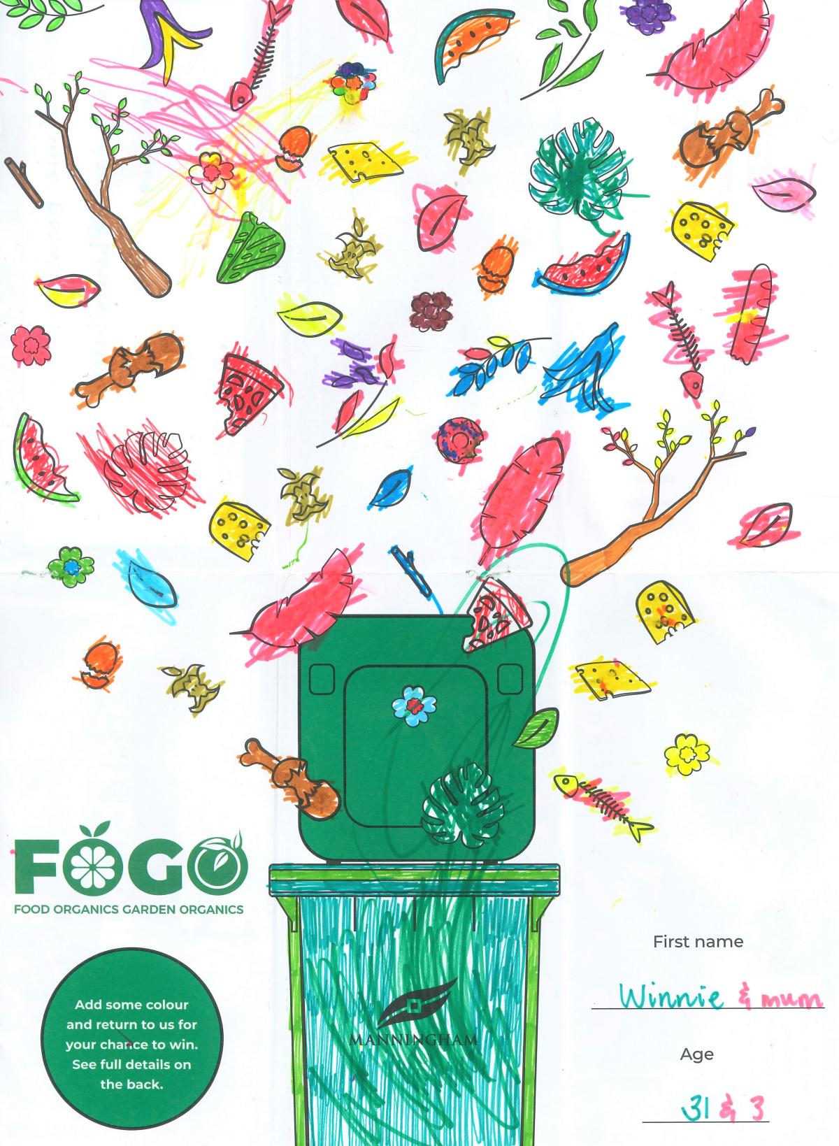 An image of a FOGO bin with all sorts of organic rubbish falling into it from above. The name 'Winnie' is in the bottom right corner.