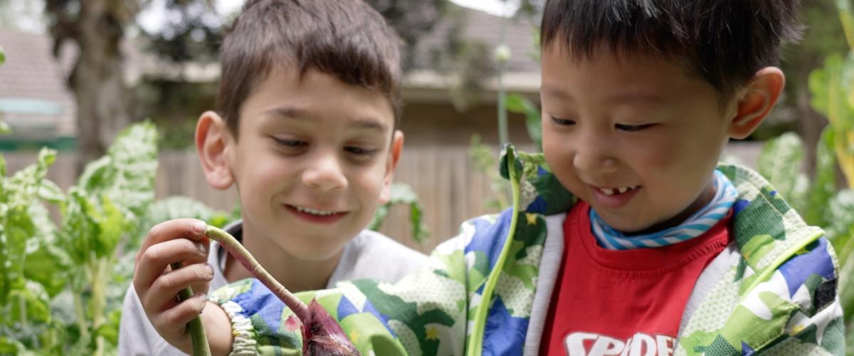 Two young boys in a garden setting. One boy is holding a vegetable recently pulled from the earth the other boy looks on. Both are smiling.