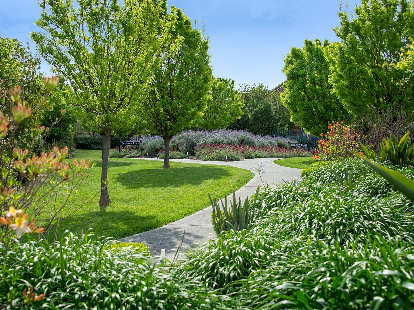 Lush green garden with small shrubs, large trees and a concrete path winding through the middle