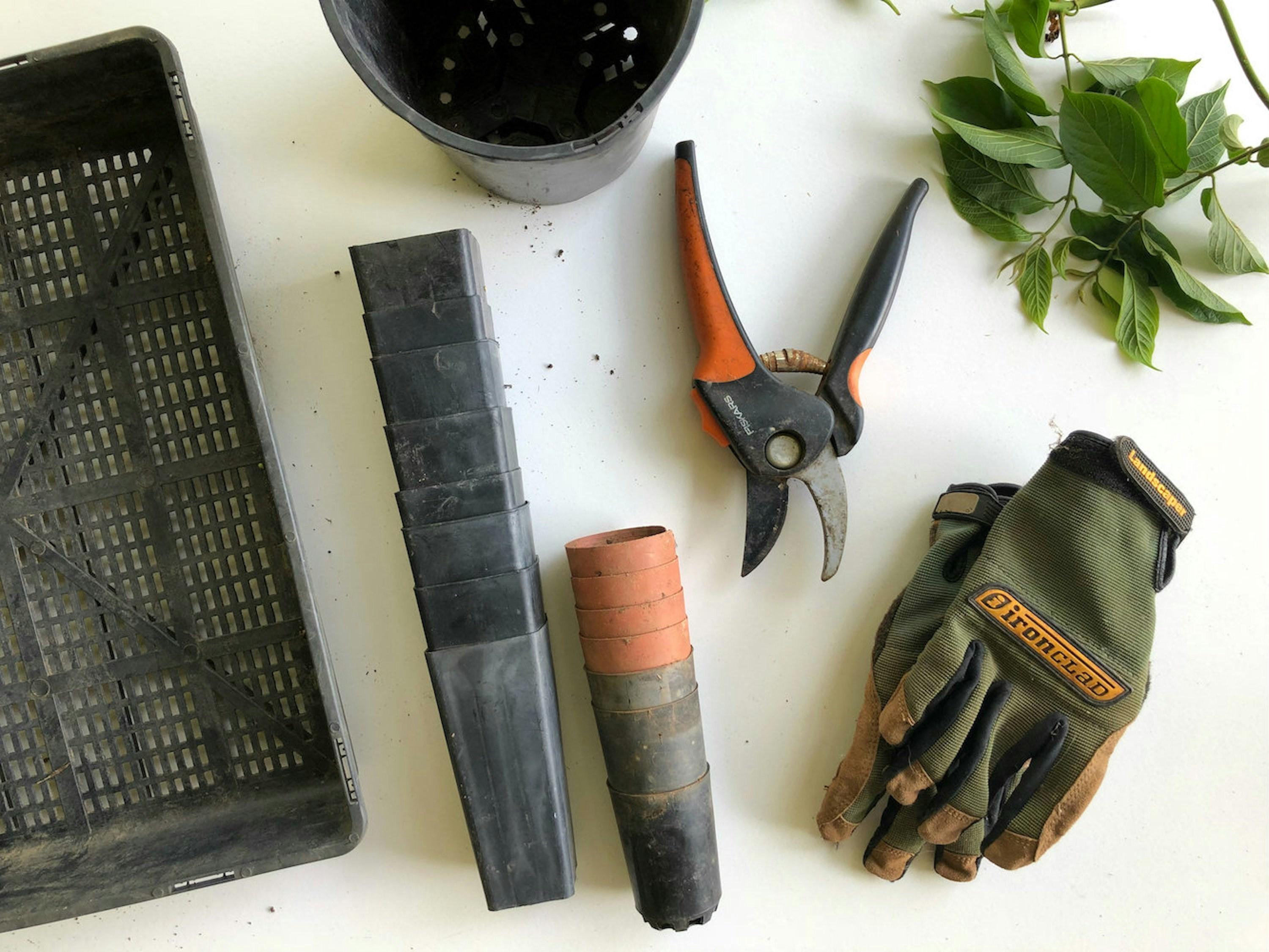 Various gardening objects arranged on a white background, including pots of various sizes, a black plastic tray, garden snips, garden gloves and some leaves.