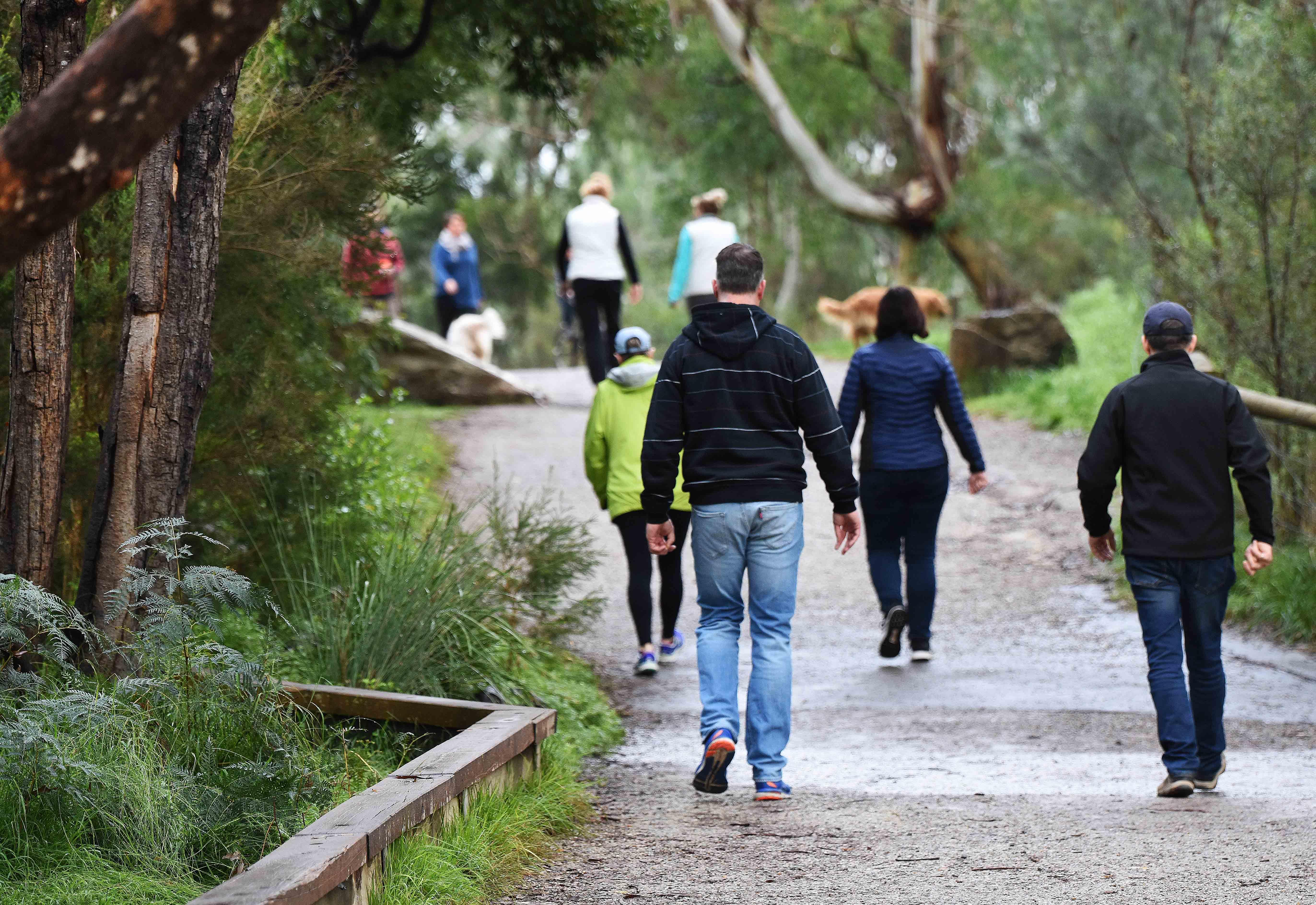 Photograph of people walking along a track in Warrandyte amongst trees and other vegetation