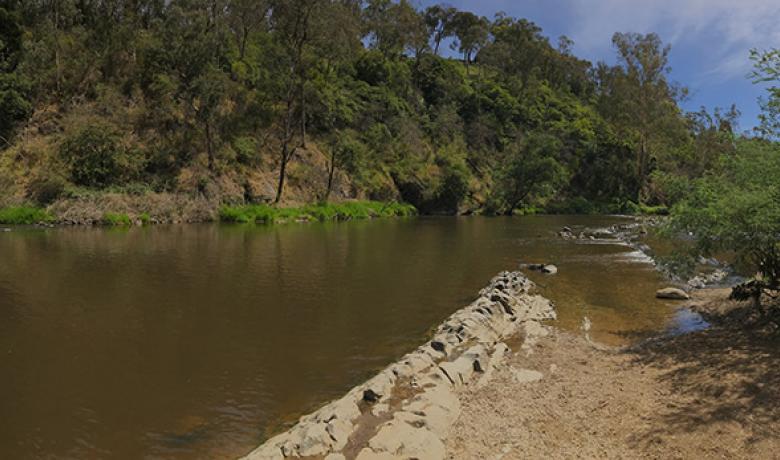 Yarra River at Warrandyte River Reserve