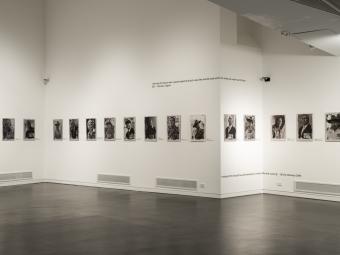 Photograph of the interior of Manningham Art Gallery with 15 photographic portraits on a white wall, with black floor in the foreground