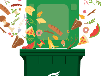 Image of green lid FOGO bin with food and garden waste 
