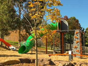 Newly planted tree and playground