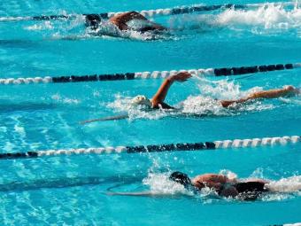 Olympics swimming race