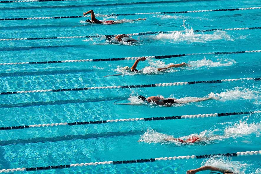Olympics swimming race